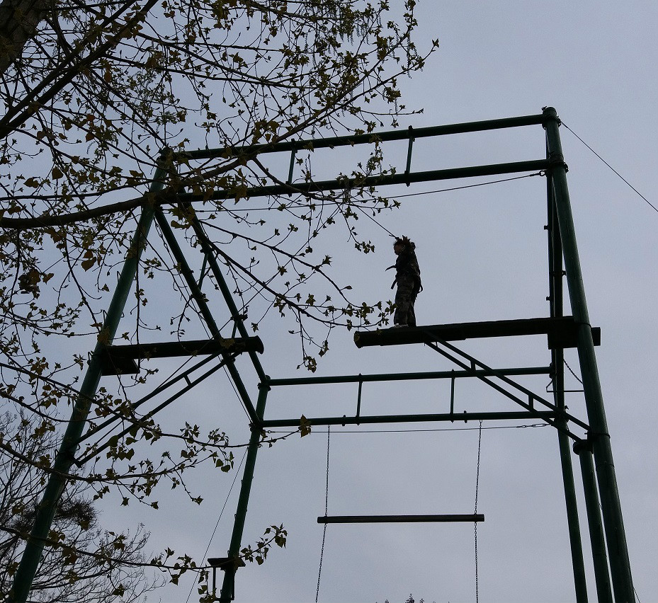 155486020115548613.jpeg 155486020115548613.jpeg